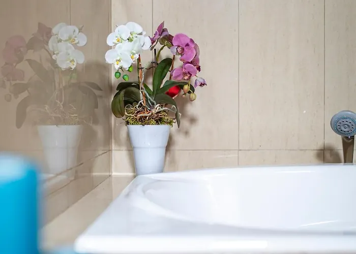 Casamaria Lacasadelamaria